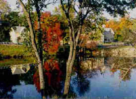 Kingfield in Fall.jpg (15547 bytes)