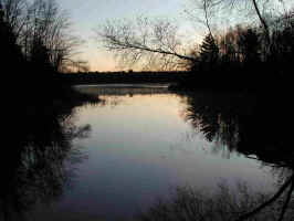 Madawaska Stream Morning.jpg (458187 bytes)