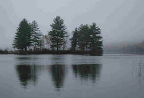 Reflections in the Mist.jpg (54943 bytes)